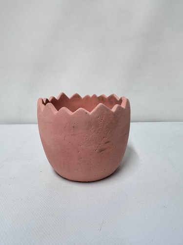 Pink scalloped concrete - pink, plant