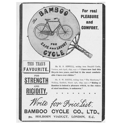 Bamboo cycle victorian - bamboo,