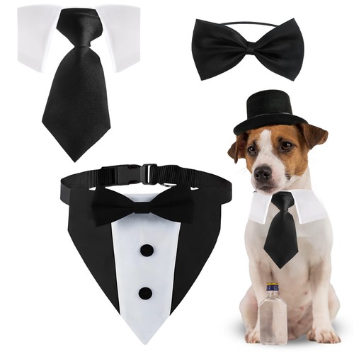 Dog tuxedo bandana - bandana, bow