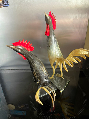 Pair horn rooster chicken - horn,