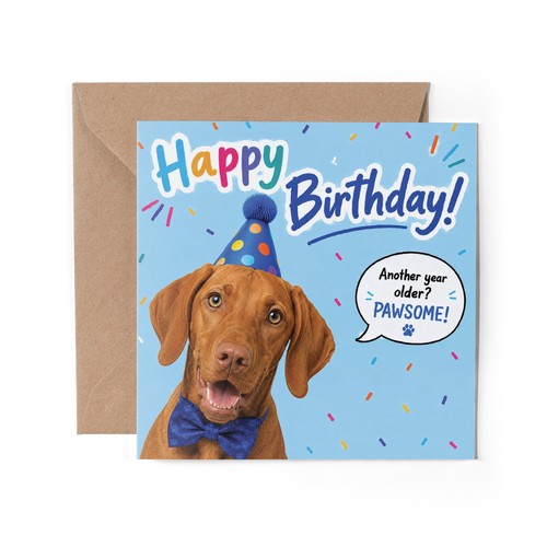Vizsla dog greeting card - x,