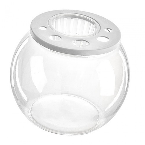 Fish bowl tank - fish,