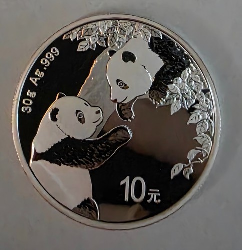 30g 2023 silver chinese panda - 2023,