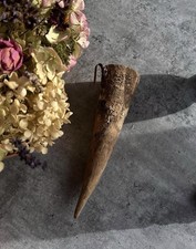 Decorative animal horn - decorative,
