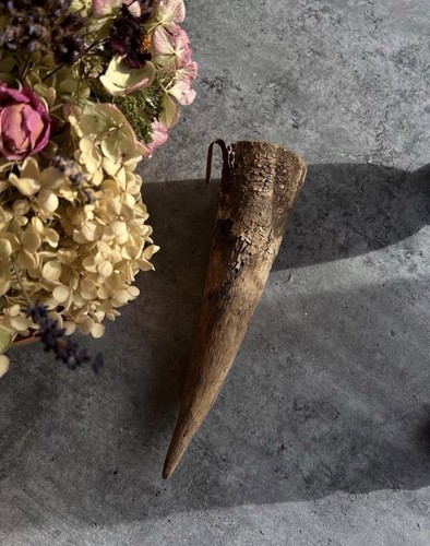 Decorative animal horn with - horn,