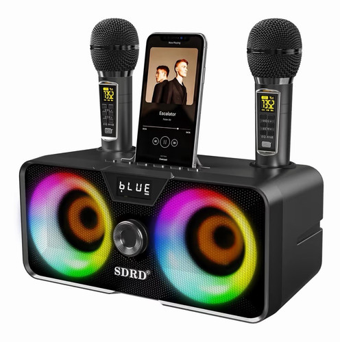 Lsmoeo 317 portable karaoke - portable,