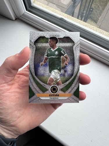 Estevao palmeiras silver - estevao,