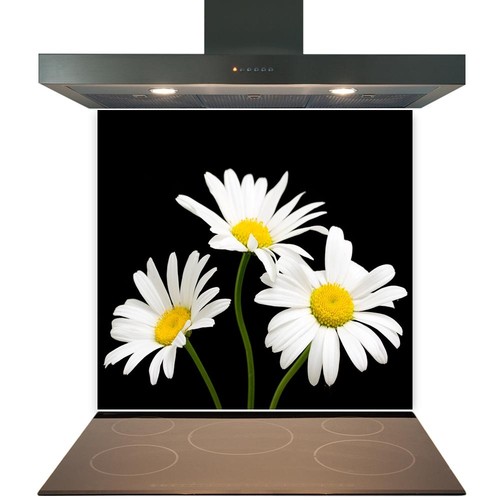 Kitchen glass splashback - kitchen,