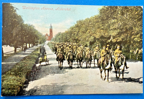 Military parade aldershot - military,