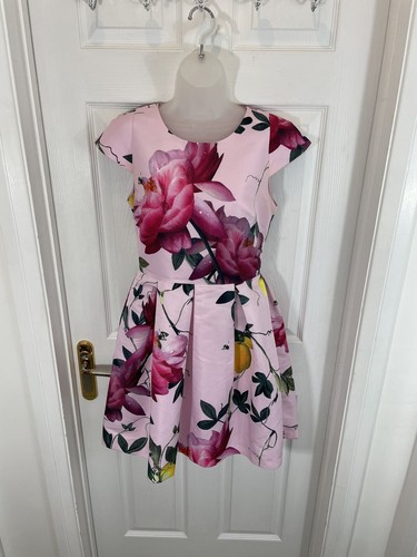 Ted baker dress bnwt - ted,