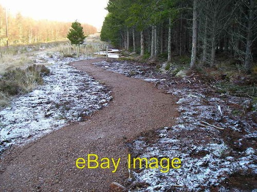 Photo 6x4 mountain - bike, trail