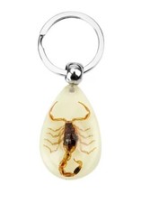 Amber resin scorpion keychain - resin,