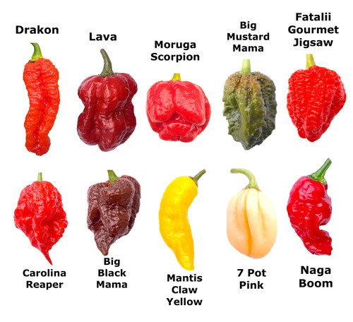 Worlds hottest chilli 55 - worlds,