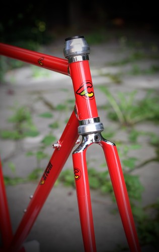 Cinelli supercorsa frame - cinelli, /