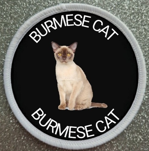 Burmese cat iron sew - burmese,
