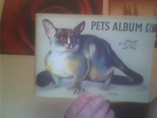 Hornimans tea pets album - hornimans,