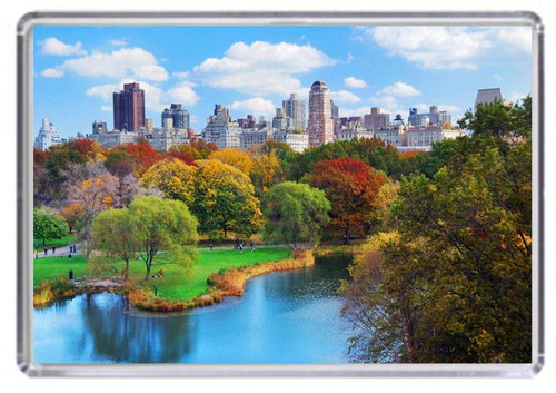 Central park new york fridge - park,