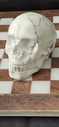Beautiful howlite skull large - beautiful,