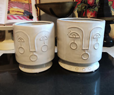 Glazed Ceramic Indoor Plant