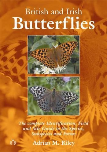 British and irish butterflies - british,