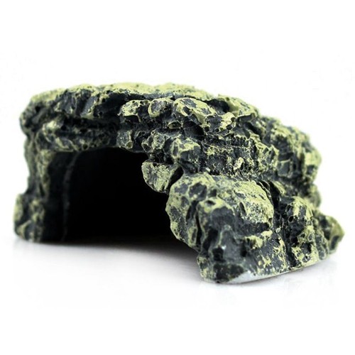 Fish hiding rock cave reptile - rock,