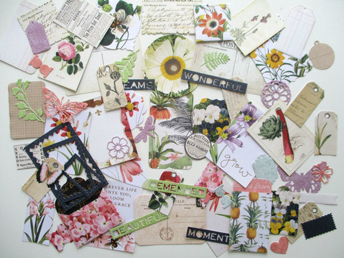 Botanical embellishments paper - botanical,