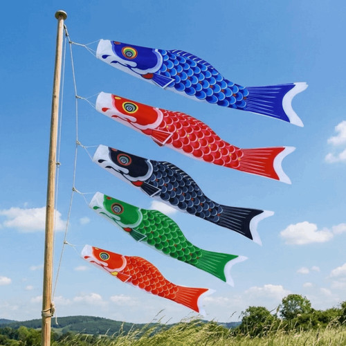 100cm japan style carp - japan,