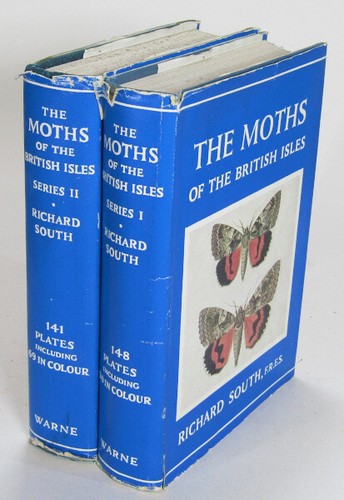 The moths - the, british
