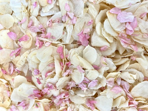 Biodegradable confetti ivory - biodegradable,