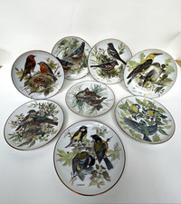 8 Ursula Bands Songbirds Of