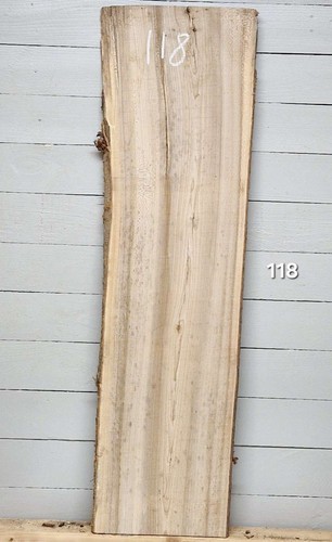 Elm live edge - timber, x
