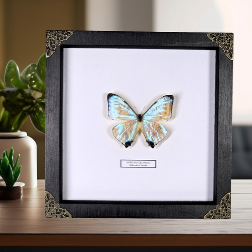 Shimmering electric blue - shimmering,