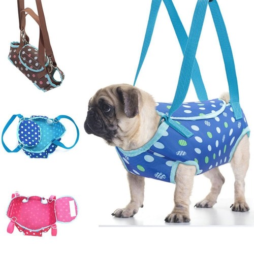 Pet carrier dog - pet,