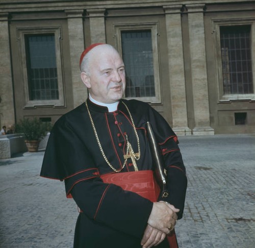 Portrait irish cardinal and - cardinal,