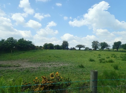 Photo grazing land - a3, on