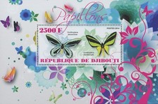 Butterfly Ornithoptera