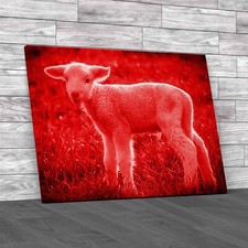 A White Suffolk Lamb Sheep Red Canvas Print Large Picture Wall Art