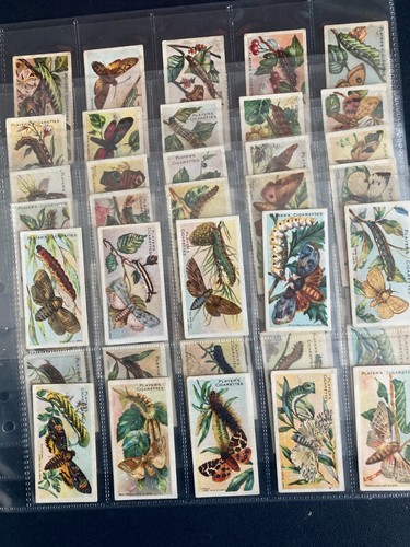 Cigarette cards butterflies - cigarette,