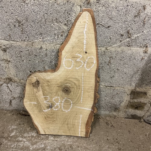 Live edge ash timber wood - ash,