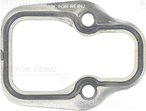 Fits reinz uszczelki - fits,