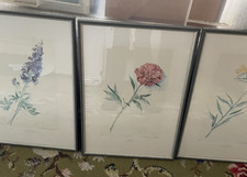 3 beautiful Framed Botanical prints floral limited edition ready to hang decor