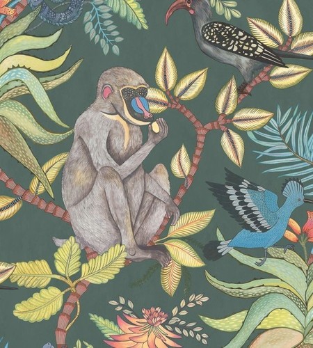 Cole son savuti wallpaper - savuti,