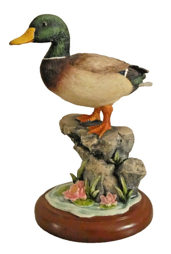 Border fine arts - mallard, duck
