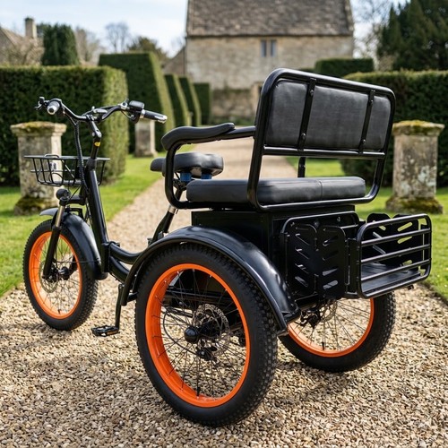 Inch electric trike adult - 20,