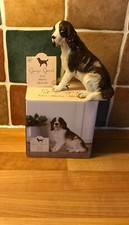 BN BOXED DOG ORNAMENT SPRINGER