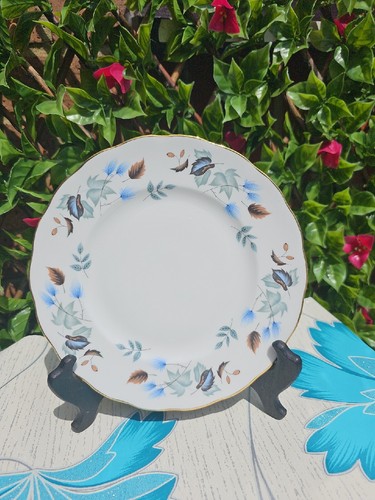 Vintage colclough - colclough,