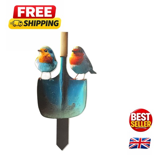 Vibrant acrylic robin bird - acrylic,