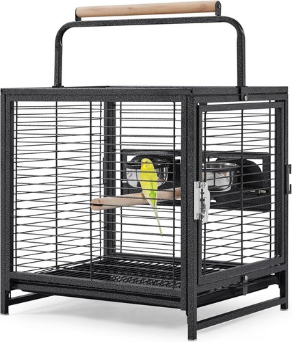Metal bird cage - bird,