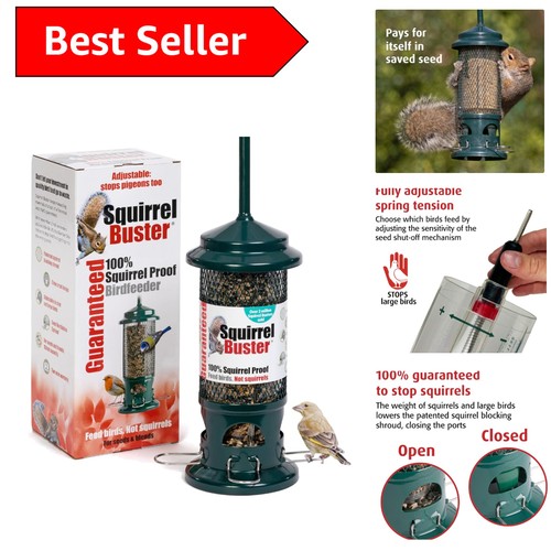 Squirrel buster bird feeder - squirrel,