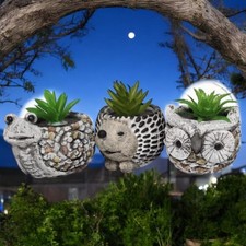 Animal Mini Plant Pots Set